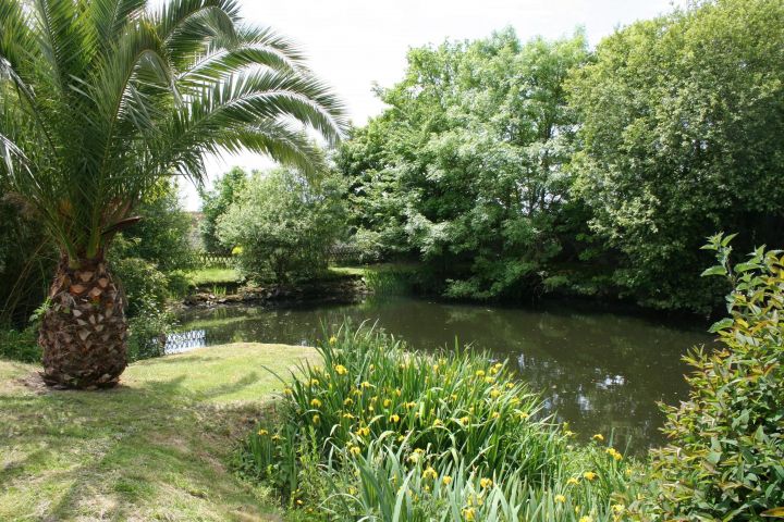 le-plan-d-eau