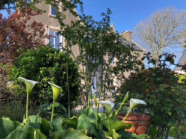 Jardin