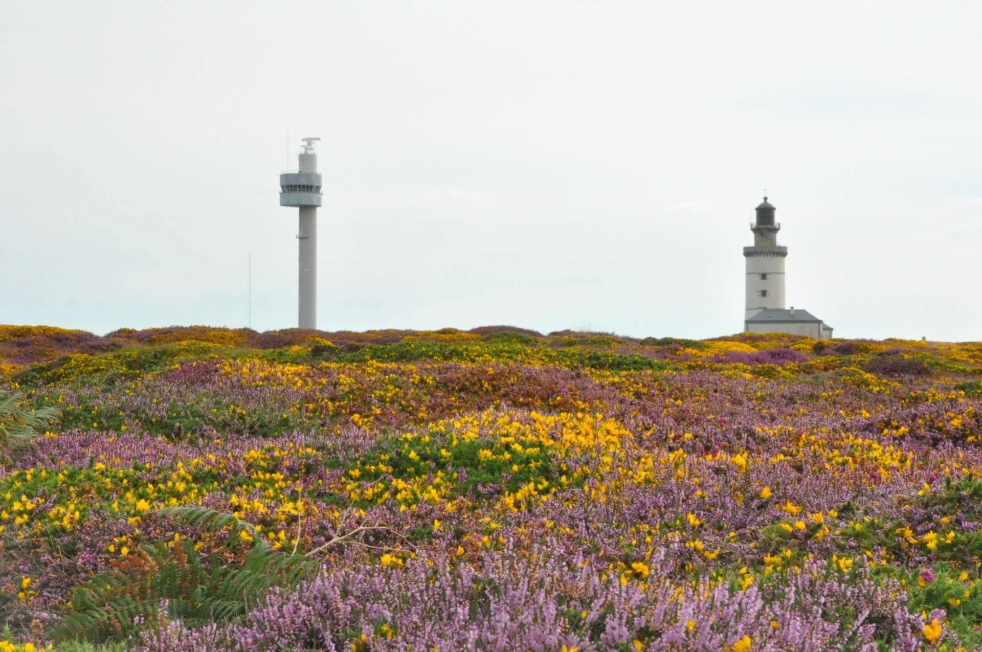 maison de pêcheur île d'Ouessant, Finistère
