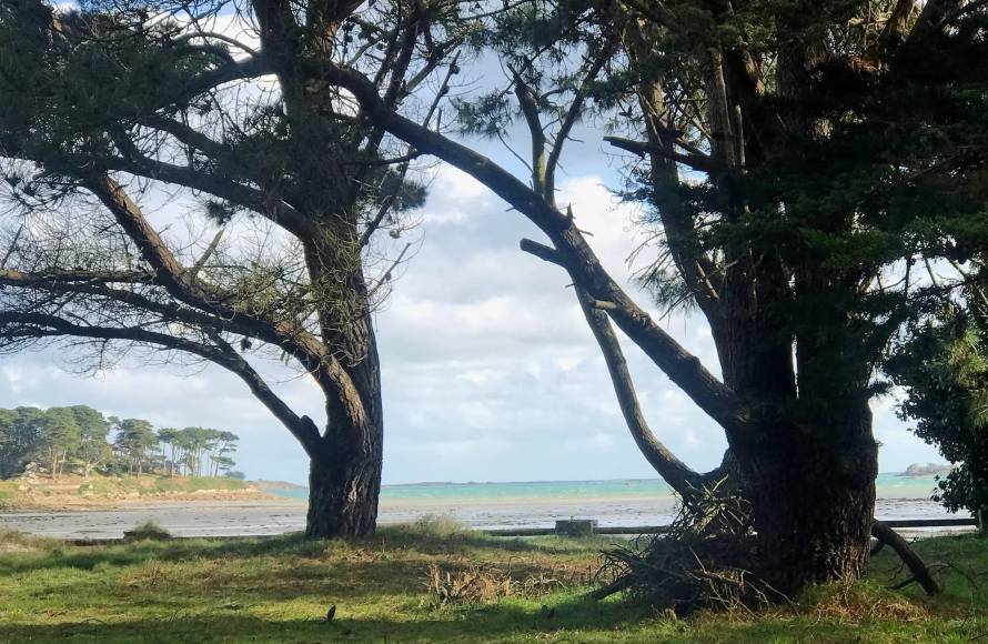 MAISON LES PIEDS DANS L'EAU A ROSCOFF