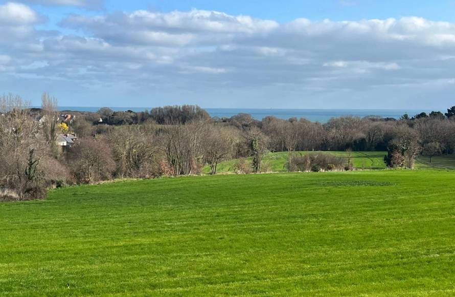 Propriété de 3 gites et dépendance proche de la mer à Tréveneuc
