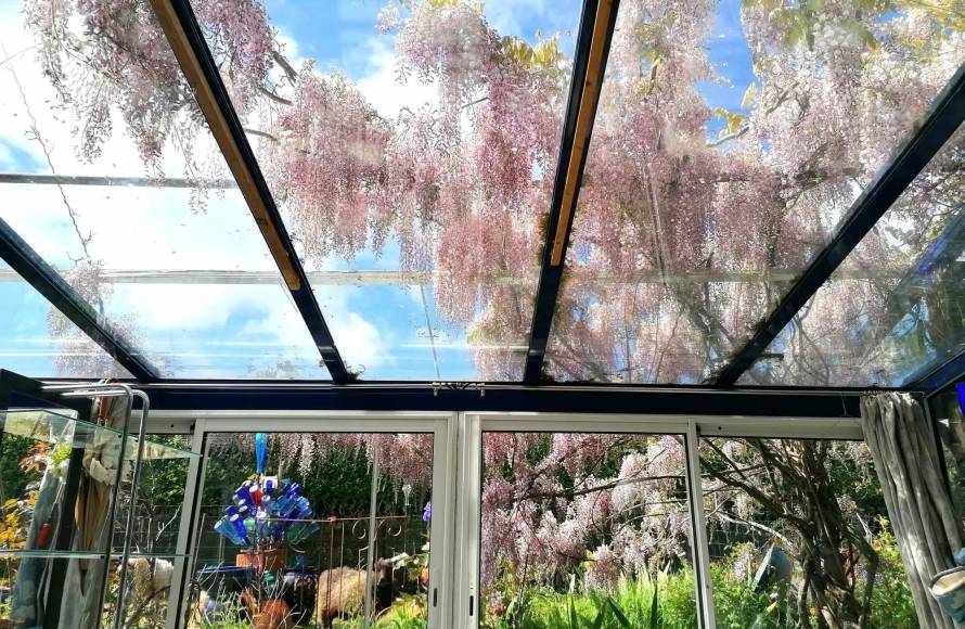 Propriété de 3 gites et dépendance proche de la mer à Tréveneuc