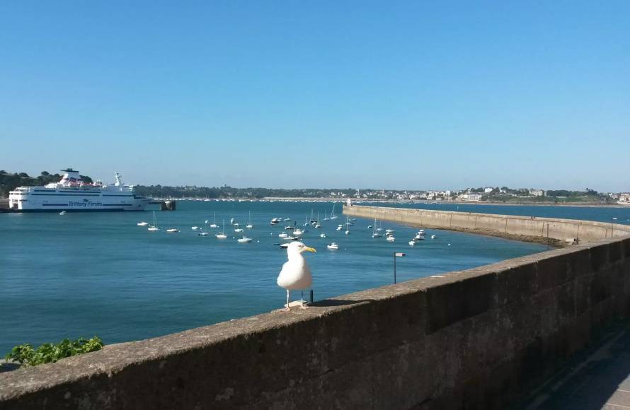Grand appartement vue mer à Saint-Malo Intra-Muros
