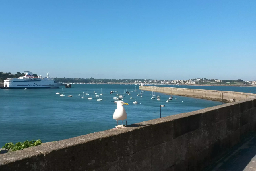 Grand appartement vue mer à Saint-Malo Intra-Muros