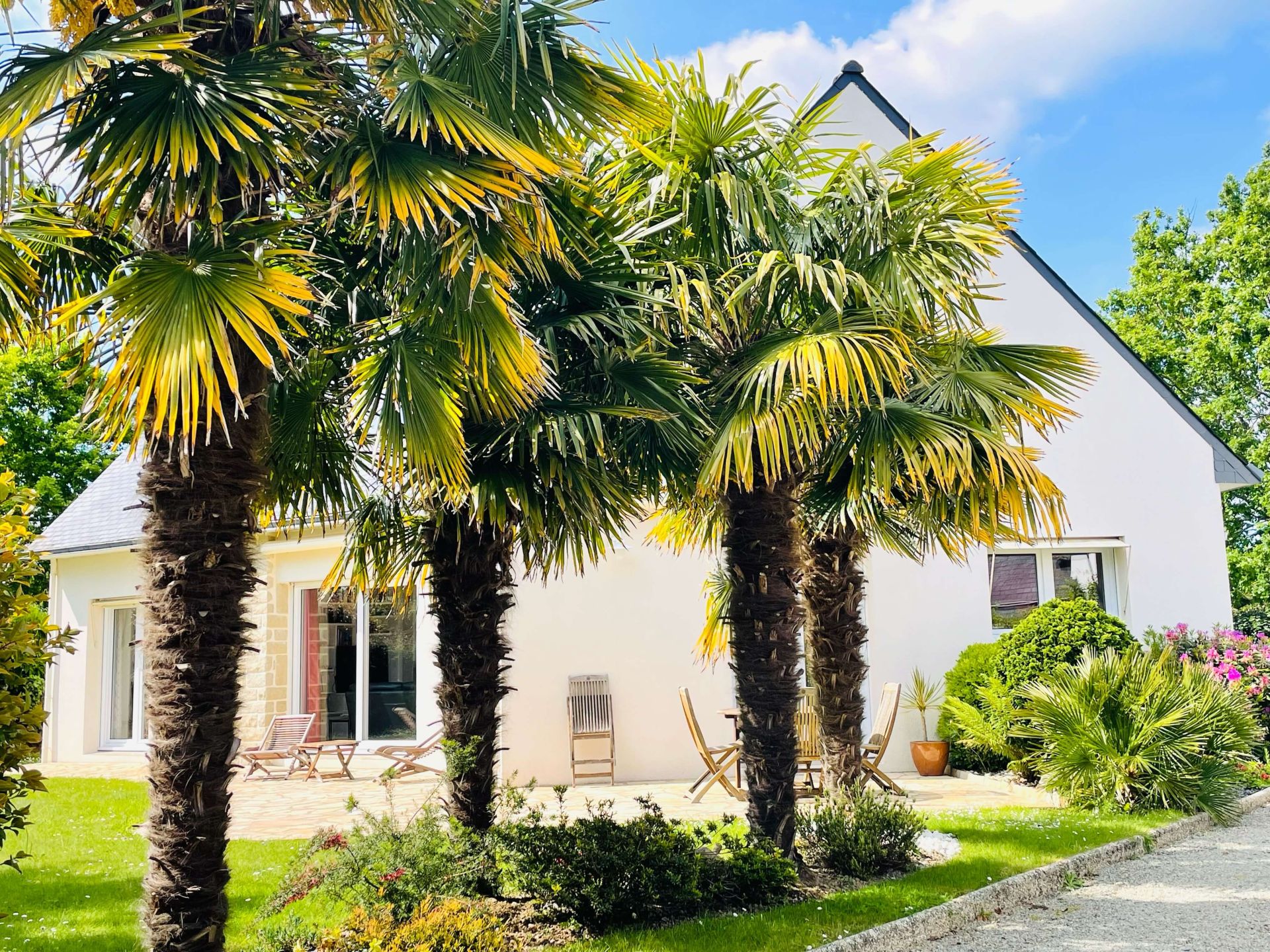 Belle maison contemporaine La Forêt-Fouesnant
