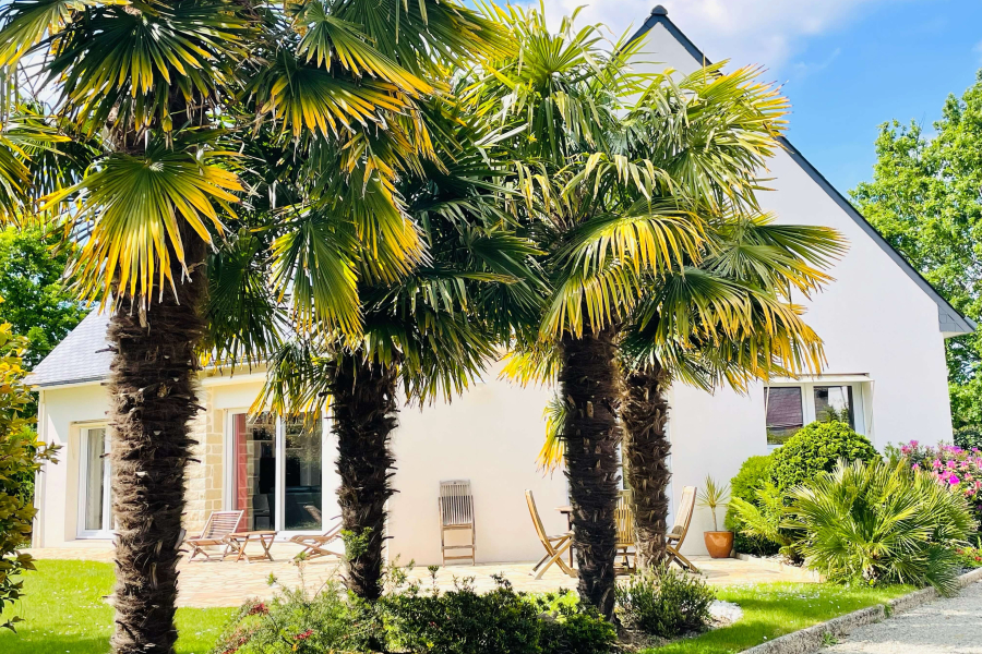 Belle maison contemporaine La Forêt-Fouesnant