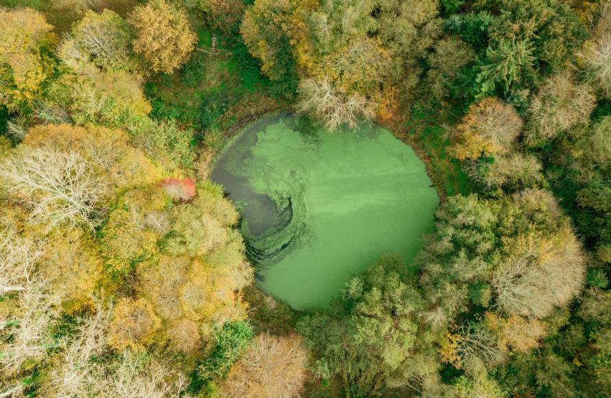 Propriété de charme en pierre avec plage à pied Trégastel